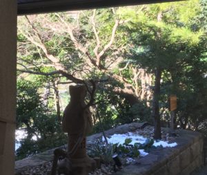 降雪後の椿山荘